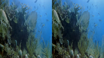 Cirque Du Soleil 3D - AC3 - DTS - MP3 - SBS